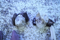 IOI Station Caps - with Colleen Smiley, snow camo hunting hats with paint