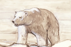 Installation Detail, "Zone B" (Polar Bear)